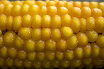fresh corn on wooden table