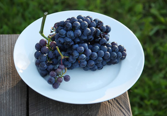 Ripe grapes outdoors on a plate