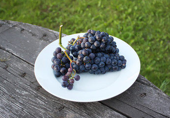 Ripe grapes outdoors