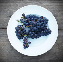 Ripe grapes on white plate