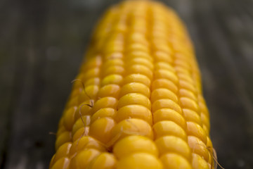 fresh corn on wooden table