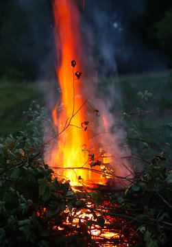 Burning fire outdoors