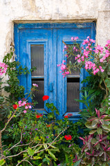 Blue door in natural plant frame