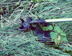 Trimming the grass