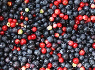 Blueberries and cranberries
