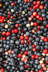 Blueberries and cranberries
