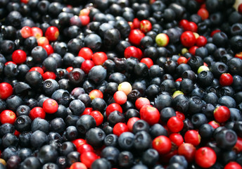 Blueberries and cranberries