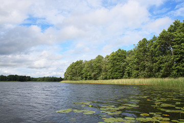 Obraz na płótnie Canvas Landscape with lake
