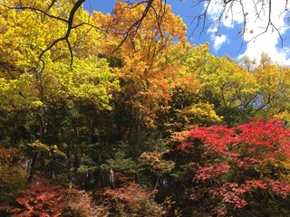 waterfall, Autumn in Nikko, Japan