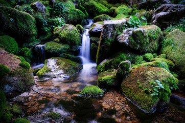 Stream of water with little waterfall flowing through rocks covered by moss
