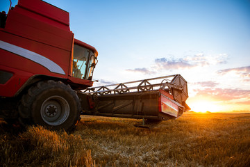 Harvesting the field of wheat