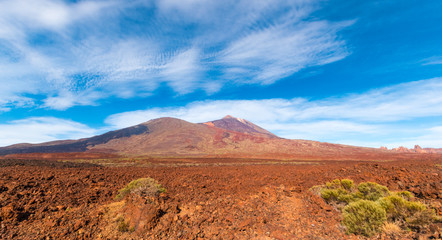 Volcanic mountain Teide and lava desert valley in Teide National Park, Tenerife, Canary Islands, Spain protected by unesco heritage site