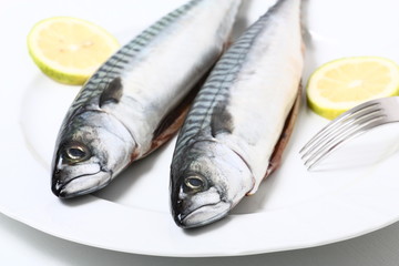 Pesce sgombro crudo