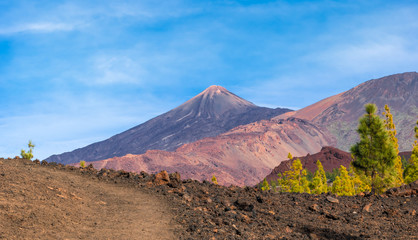Fototapeta na wymiar Volcanic mountain Teide and lava desert valley in Teide National Park, Tenerife, Canary Islands, Spain protected by unesco heritage site