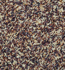 black and white rice background  ricebalay