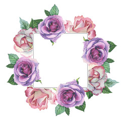 Wildflower rose flower frame in a watercolor style isolated. Full name of the plant: rose, platyrhodon, rosa. Aquarelle flower could be used for background, texture, pattern, frame or border.