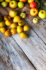 Pears and apples on white wooden table