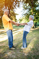 Fototapeta premium Senior happy couple enjoy at park together