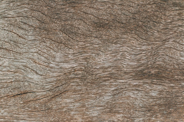 wood texture background