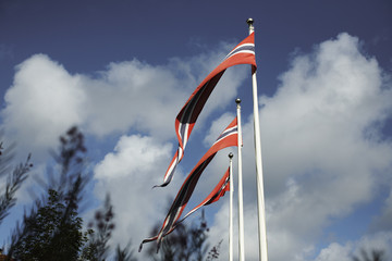Norwegian flags
