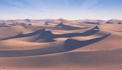 Arabian Desert-scape