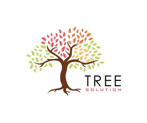 Obraz premium Tree logo