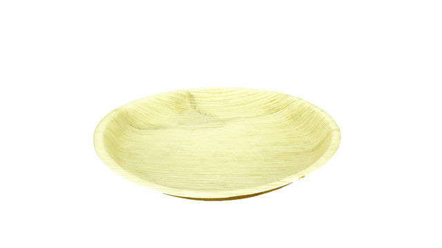 Fallen dried palm leave plate isolated on white background.