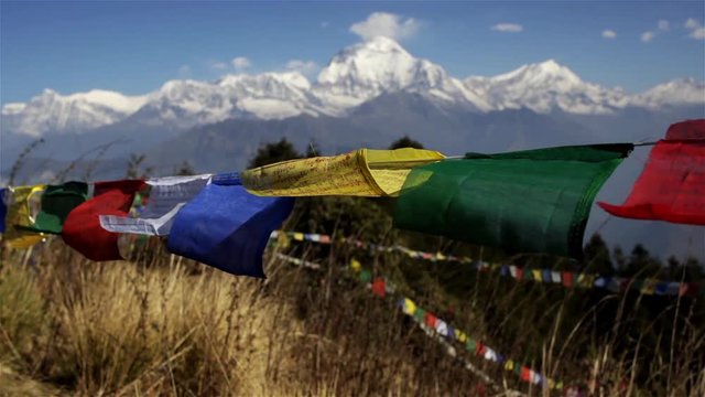 Colorful praying flags flutter in wind on Poon Hill with a background of snowcapped Dhaulagiri mountain range in Nepal