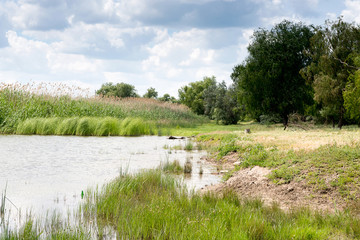 Fototapeta na wymiar Summer vacation on the river bank. Hunting for wild ducks. White