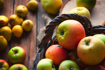 Wild apples and pears in basket