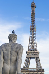 Fototapeta na wymiar Torre Eiffel desde Trocadero