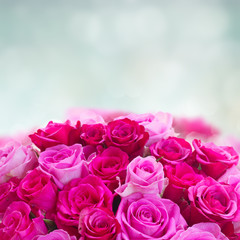 bouquet of fresh pink roses