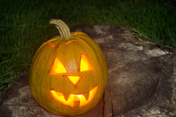 Obraz premium Halloween scary pumpkin with a smile in autumn forest