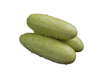 Cucumber on white background