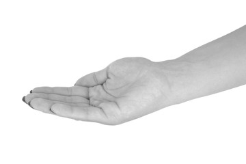 Palm up showing anything, middle-aged woman's skin, black manicure. Isolated on white background