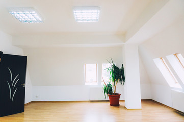 Fototapeta premium Empty house interior