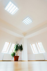  Empty house interior