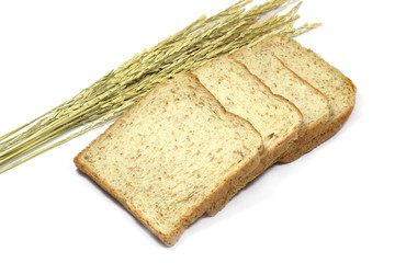 Square slice of fresh whole grain meal bread. Detailed bread texture with ears
