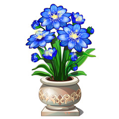 Bright blue flowers in beautiful ceramic pot