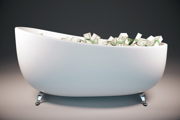 Bathtub filled with cash