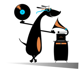 Dog music lover. Funny dachshund listening music on vintage record player
