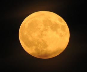 Harvest Moon