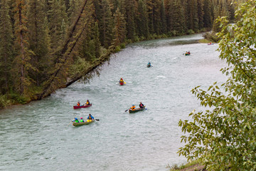 Group of Canoeists on a River Through a Forest