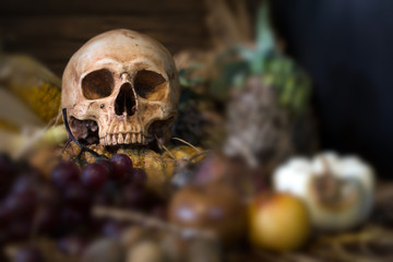 Skull with withered and rot fruits on old straw