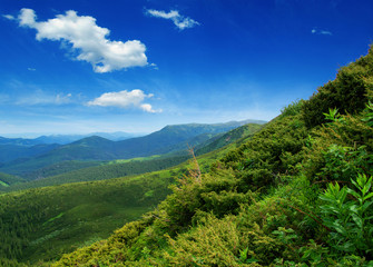 Mountain landscape in the summer