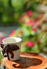 Morning coffee in garden.