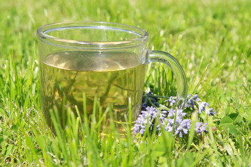 Lavender tea