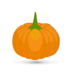 Cartoon Pumpkin vector illustration.
