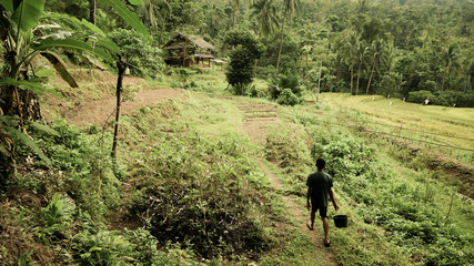 Naklejka premium Worker in the Rice Fields