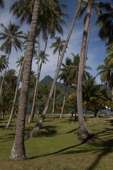 Fototapeta premium South Pacific